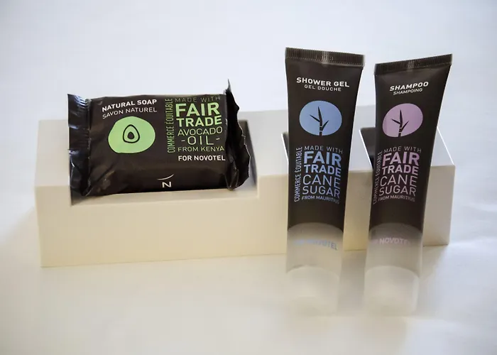 ホテル ノボテル レ アール